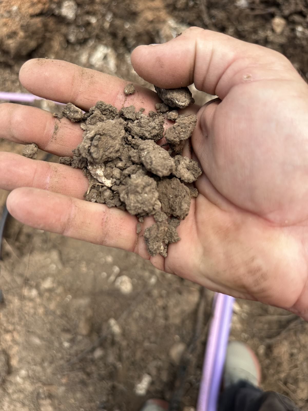 Installer holding a handful of excavated soil during a septic site evaluation